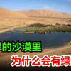沙漠可以全变成绿洲吗？在贫瘠的沙漠里，绿洲是怎么形成的