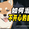 心情不好？看这个视频就够了