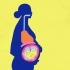 【TED-Ed】女性怀孕后身体内会发生哪些变化？@柚子木字幕组