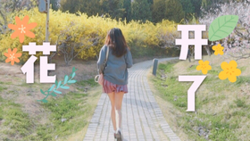 7941a93121680cade3ee1d066c246116565a658d.jpg@280w_158h_1c_100q.jpg