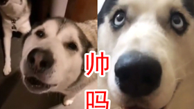 794fe676b5b83b8259400d707c2ac49efadb2d8f.png@280w_158h_1c_100q.jpg