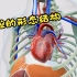 【医学3D 】心腔的形态结构。