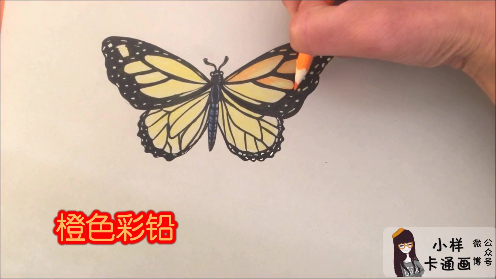 " 分享 收藏 硬币- 稍后看马克一下~ 用手机看离线看更方便 逼真蝴蝶