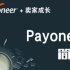 Payoneer简介