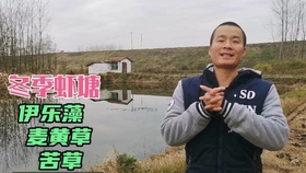 7968eb7c2050e392137ceca78118e36fc192a770.jpg@280w_158h_1c_100q.jpg
