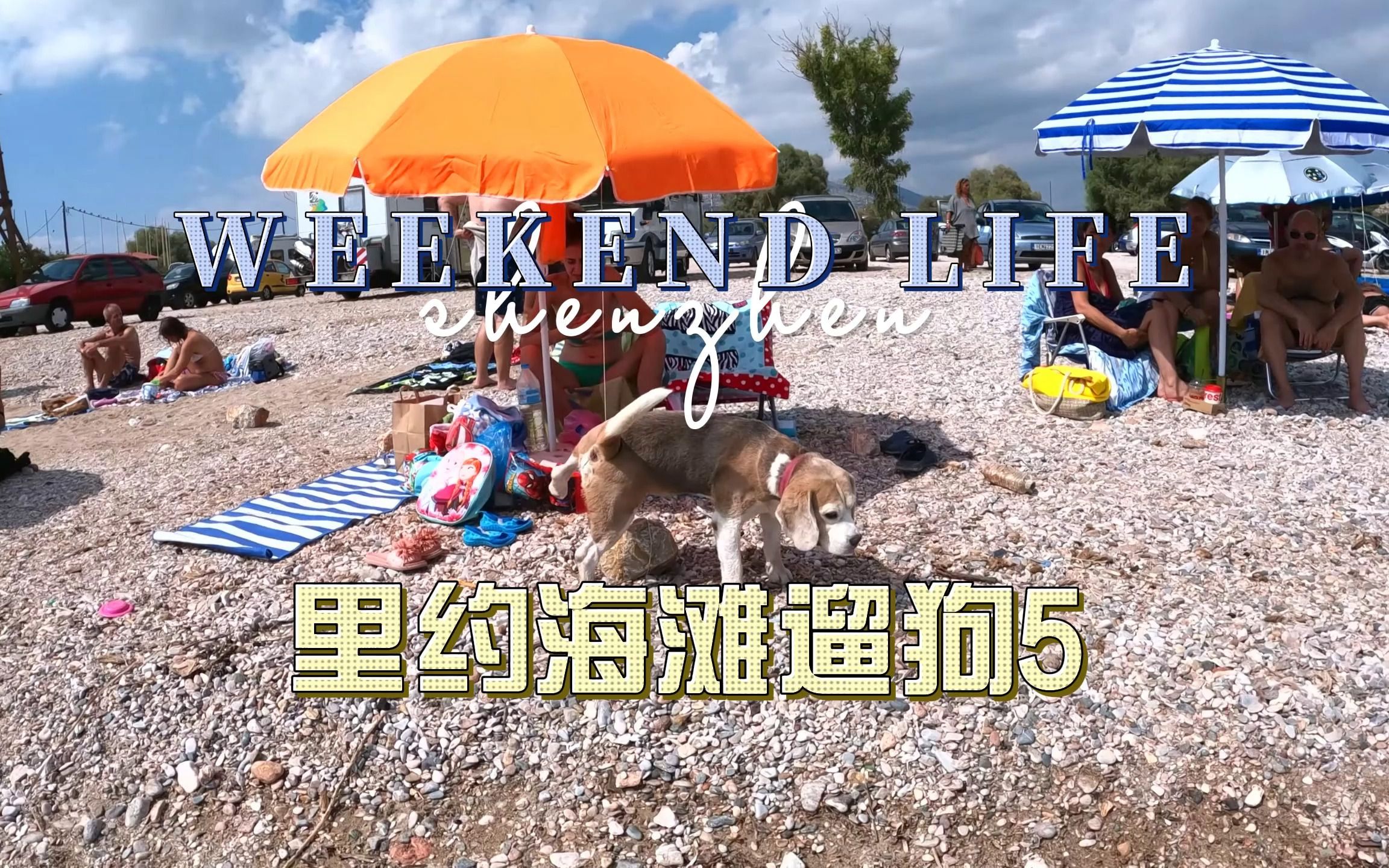 Sandy beaches, beautiful women, and the ocean ~ kinda good for dog walking this time of year!