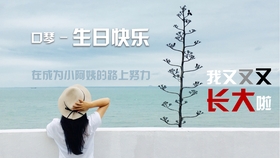 口琴生日快乐曲谱_生日快乐口琴简谱(2)