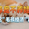 年轻人养宠不养娃？千亿“毛孩经济”背后真相