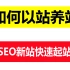 黑白帽seo教学做SEO怎么以站养站，快速起新网站？