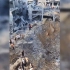巨大的弹坑！以色列轰炸加沙人口稠密区到底用了多大威力的炸弹？