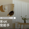 自从有了华为智选 海雀摄像头，每天帮我记录小猫的成长瞬间