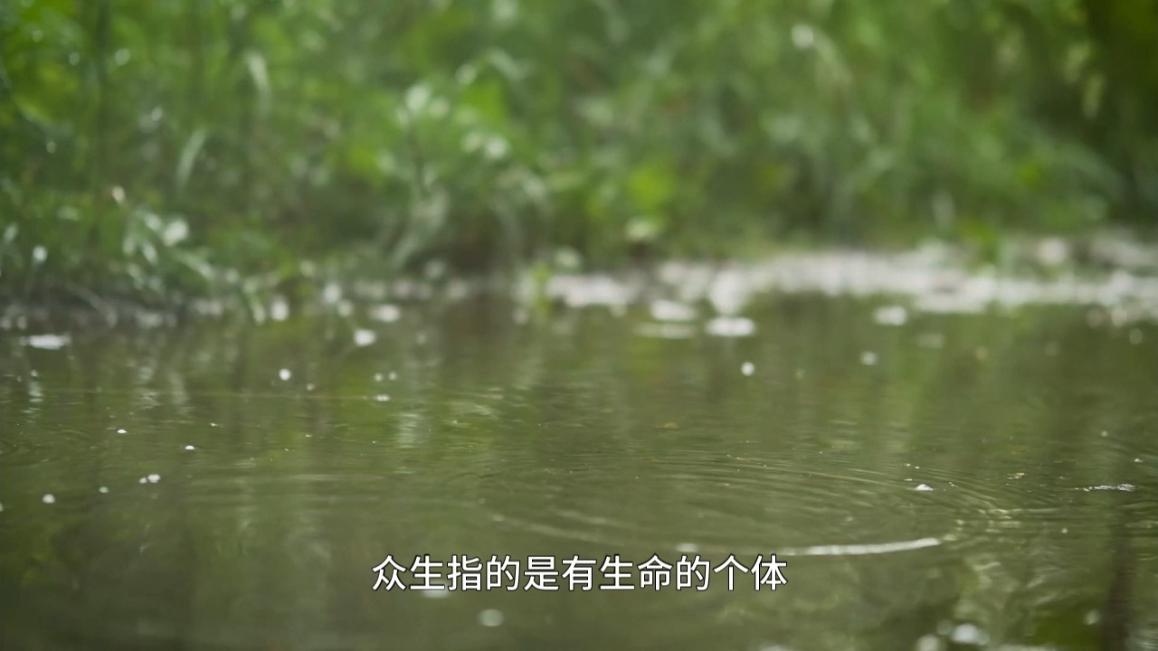 金刚经中的核心要义，就藏在这三句话中！参透它，你就能领会佛家的空性究竟想告诉你什么！