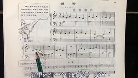 钢琴曲谱和调号_钢琴升降调号对照表(4)