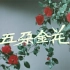 【爱情/歌舞】五朵金花 1959年【CCTV6高清1080p】