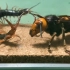 巨型大黄蜂干翻蜈蚣