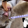看人家白虎姐妹~吃肉肉多文静~还得奶妈喂