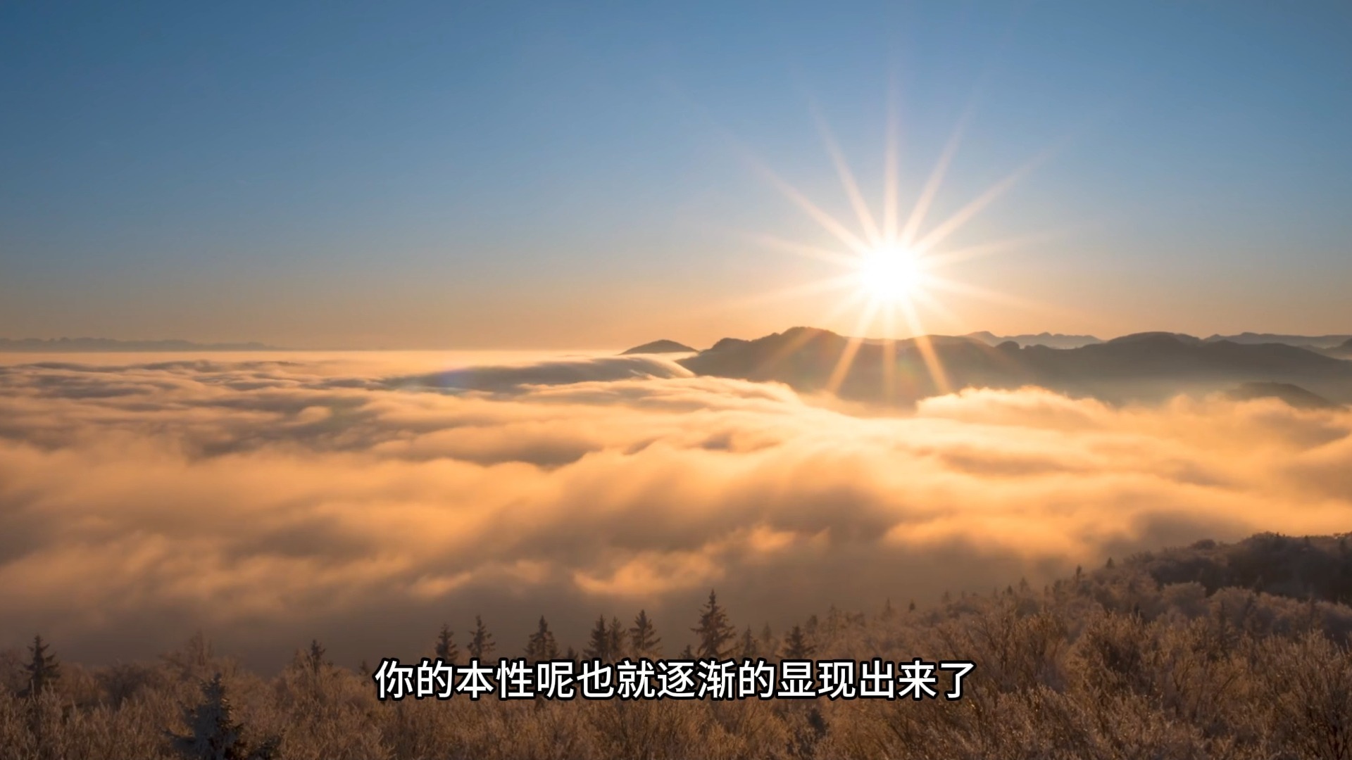 如何触动我们的真心，从而当下转业呢？随缘不变，不变随缘！