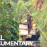 【纪录片】最致命的道路| 尼日利亚| 4K