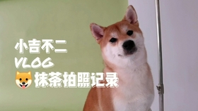 7a16e91d93309e62112a802072e550c39e5c657f.jpg@280w_158h_1c_100q.jpg