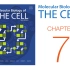 《细胞的分子生物学》第7章 基因表达调控 配套视频（字幕重制版）