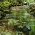 【自然的声音4K】治愈系鸟鸣+溪边潺潺流水声水景色 放松自然的声音