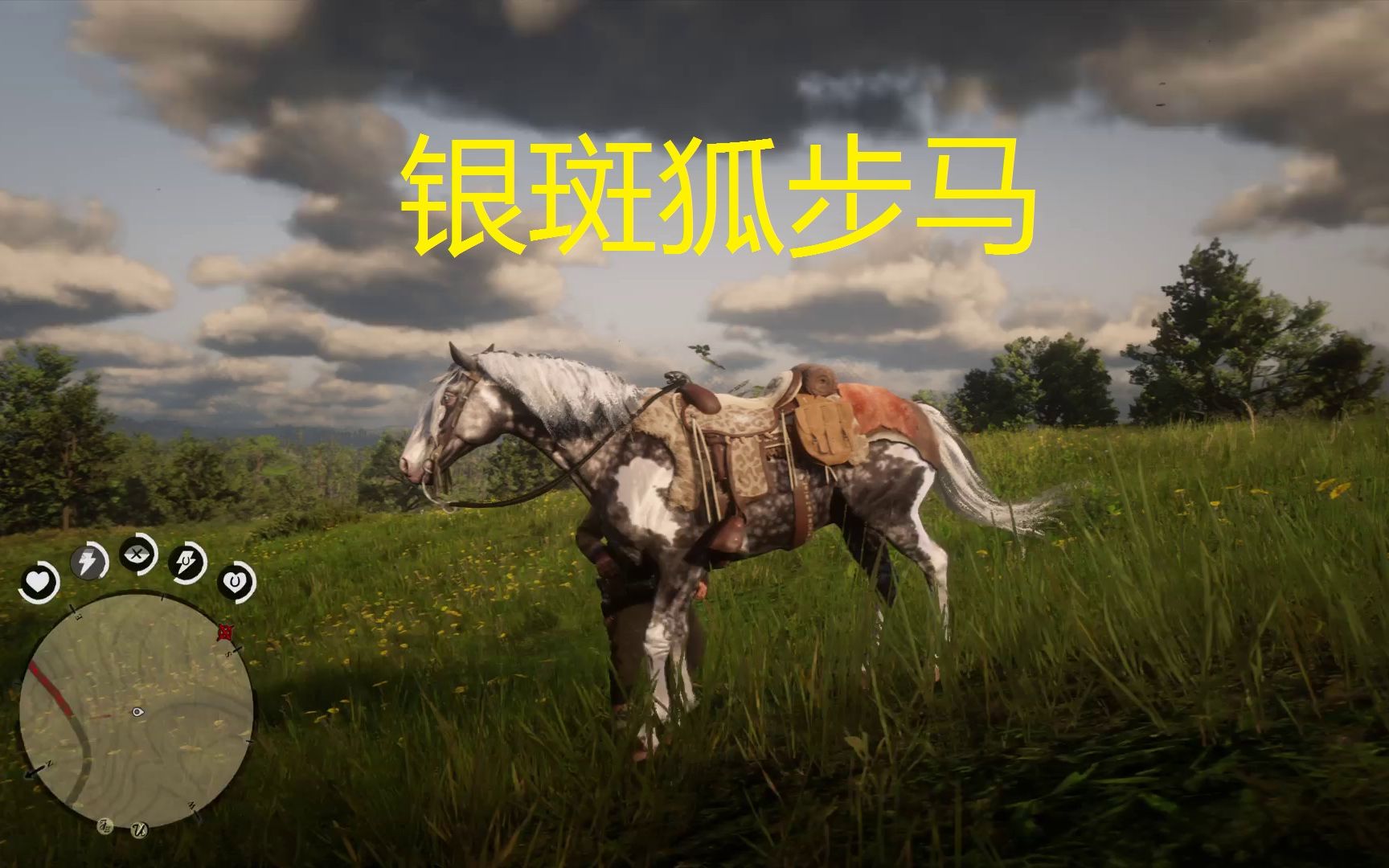 荒野大镖客第二章摄影师任务银斑狐步马