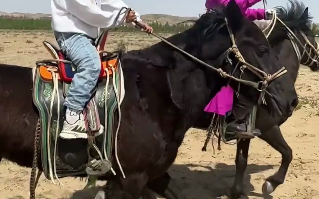 7岁内蒙古小女孩现场展示娴熟骑马技术。“马背上的民族果然名不虚传”
