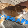 你 要 老 婆 不 要