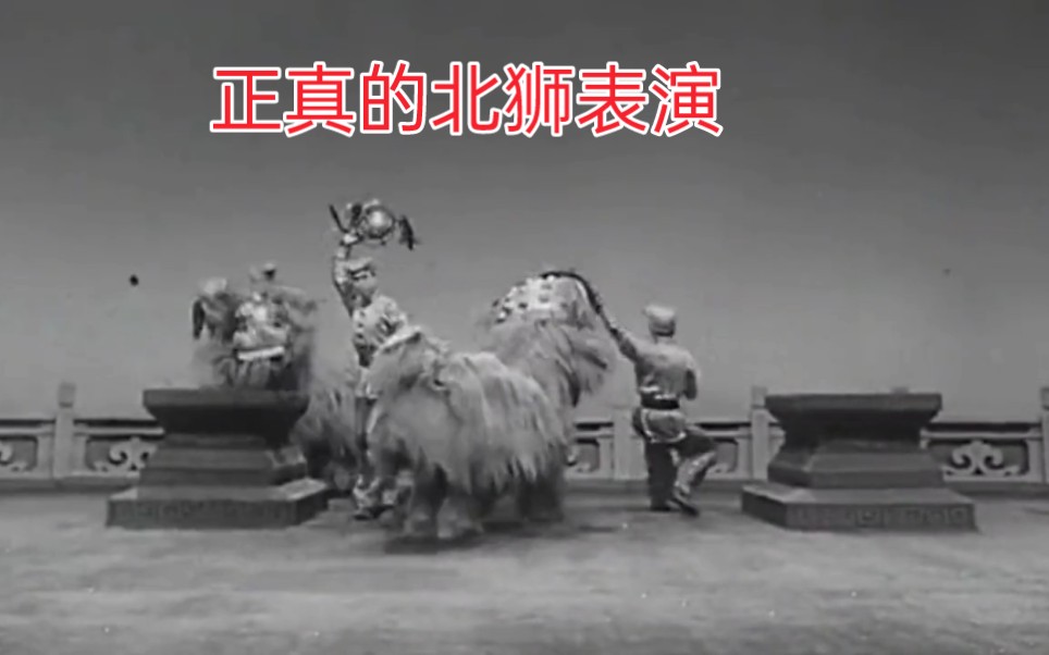 大家想看长点的细节的1963年北方传统型舞狮节目，了解正真的北狮表演