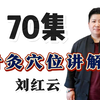刘红云 董氏奇穴针灸教学全集 中医针灸 学针灸 学中医 针灸教学
