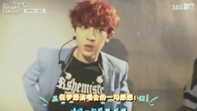 dream原版视频中文字幕版完整版 7a96a35f4e386d78e7e93fd74b1233647ded2b84.jpg@280w_158h_1c_100q.jpg