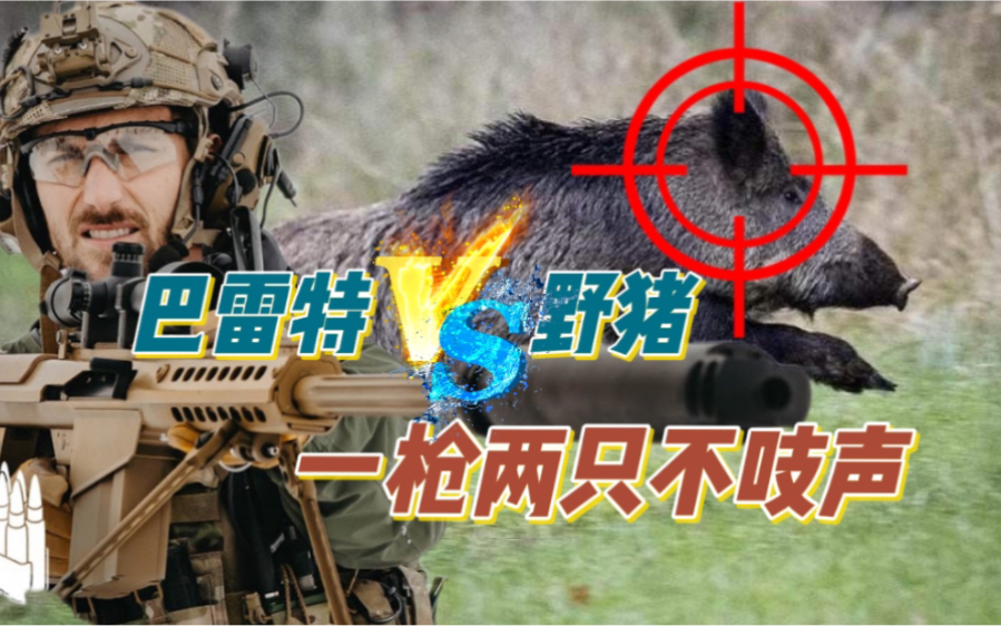 狩猎狂魔使用12.7毫米口径的“巴雷特M82”打野猪。