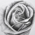 如何画玫瑰花
