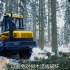 50万欧元伐木车一天能砍伐100多颗大树！