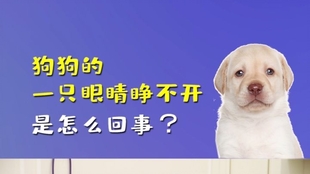 7acca88fd371aa5683cc573d5879374812a69ff7.jpg@310w_174h_1c_100q.jpg