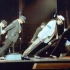 迈克尔杰克逊最炫酷的舞蹈 首次展现倾斜45度《犯罪高手》录影
