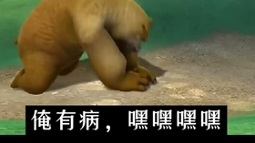 7aedb0b1fa0e08dc4ef37aa8df5825018499cec5.jpg@280w_158h_1c_100q.jpg