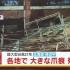 【放送事故】情報ライブ　ミヤネ屋在台風21号中継中发生了放送事故