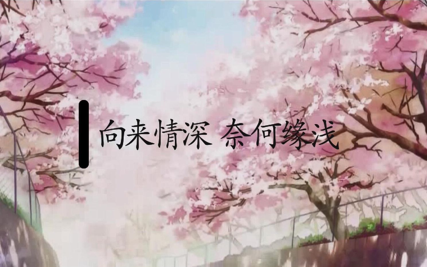 【mad】向来情深奈何缘浅【好想告诉你】