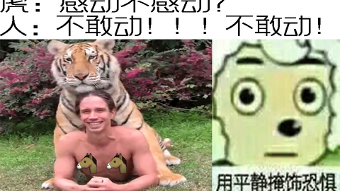 刀虎恶搞视频,刀虎恶搞视频大全