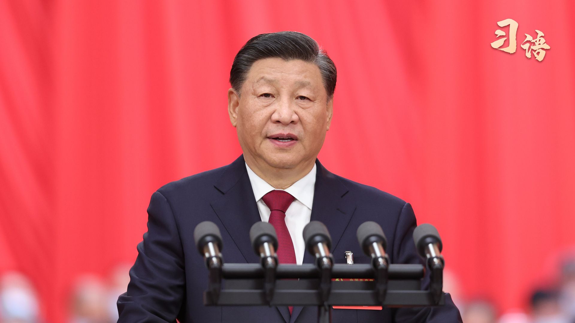 习语｜“以零容忍态度反腐惩恶”