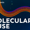 线虫：塑造世界的蠕虫-Nematodes: The Worm That Sculpted The World