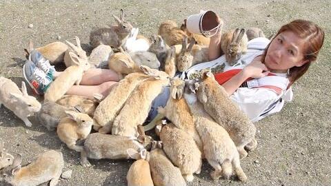 7b38887b55b1e280b2daa19a50793240dcac1cd7.jpg@480w_270h_1c