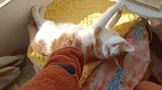 阿 摸摸摸摸 给我摸摸