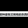 游戏里又废物又稀有的东西叫什么？
