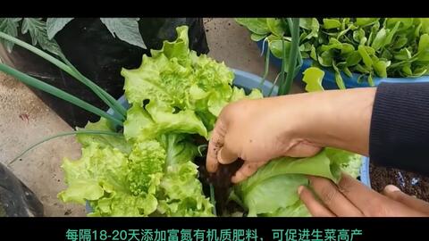 7b8b117d0f1244c9d25cb7c5a5a460e367a3d138.jpg@480w_270h_1c