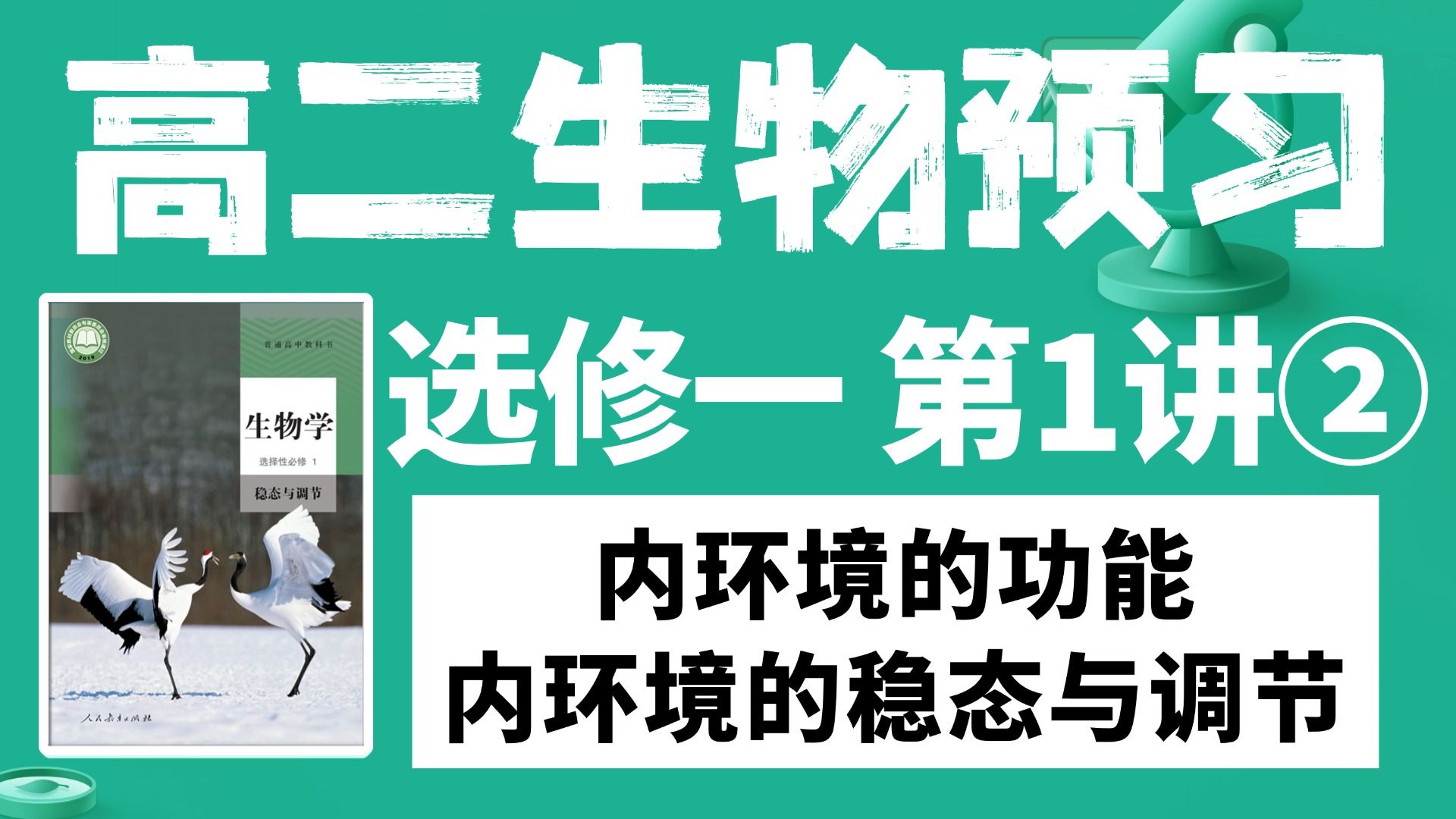 高二生物预习丨选修一第1讲②——内环境的功能＆内环境的稳态与调节！【德叔 | 高中生物】
