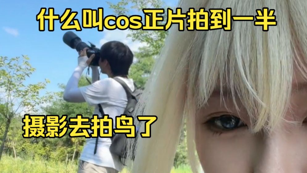 什么叫cos正片拍到一半 摄影去拍鸟了