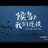《绝对王者》之广州TTG ——候鸟，我们迁徙