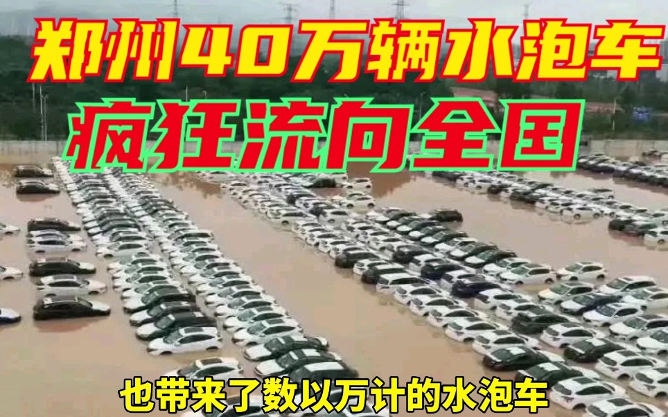 郑州40万辆水泡车,正疯狂流向全国市场!转手净赚几十万!哔哩哔哩bilibili